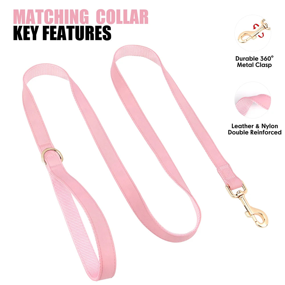 Personalized Dog Collar Leash Bag Set Custom PU Leather Dog Collars Colorful Pet Necklace With Leashes Poop Bag for Dogs Pug