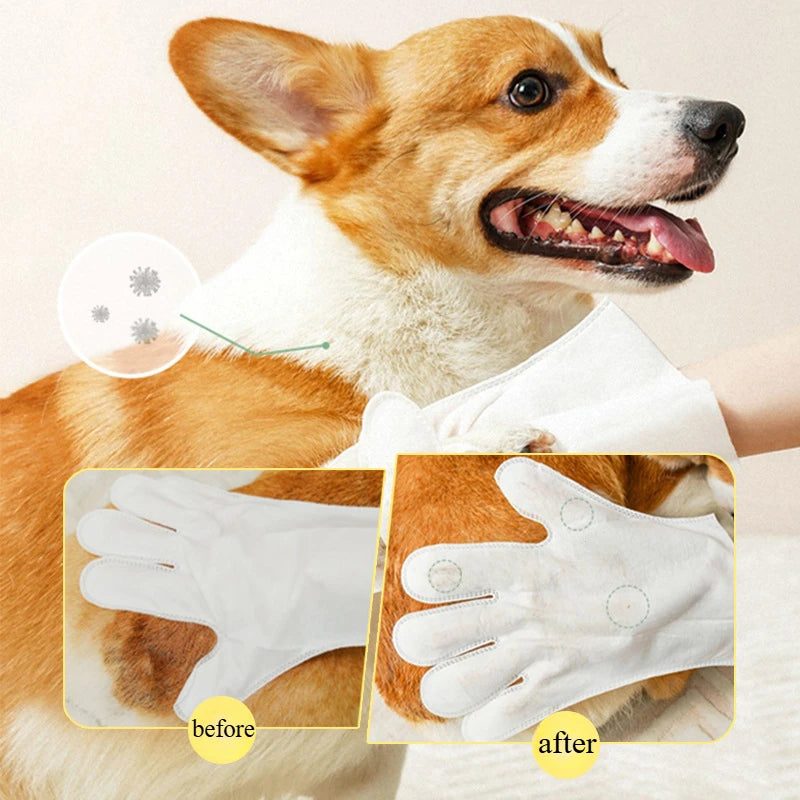 Disposable Waterless Pet Cleaning Gloves – 2-in-1 Massage & Grooming Mitts Pet Wash Free Pet Wipes