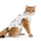 Cat After Surgery Anti Licking Breathable Cat Clothes Surgery Recovery Suit Female Cat Spay Recovery Suit Kitten Onesie for Cats