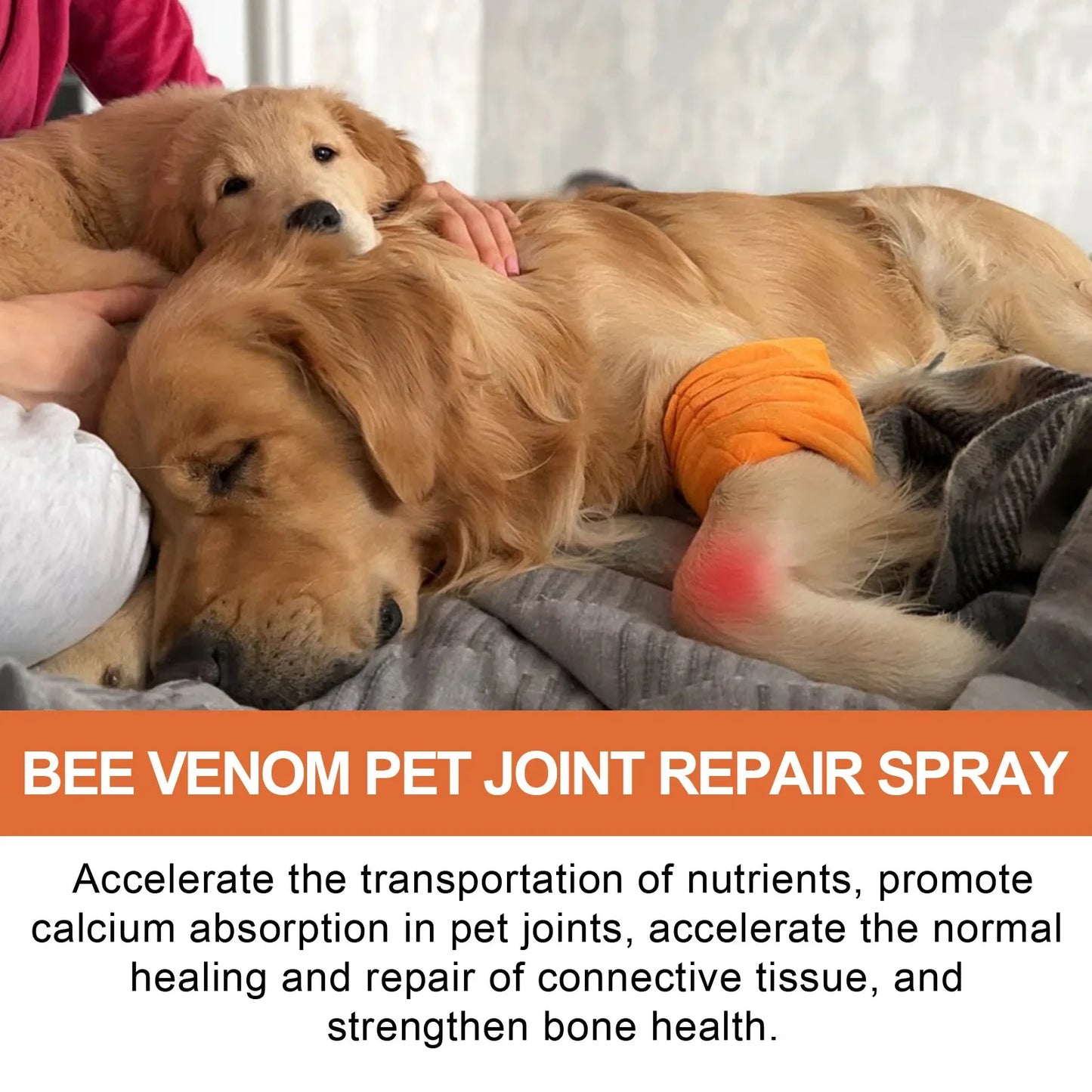 Pet Joint Repair Spray Dog Cat Bone Deformity Osteoarthritis Healing Multifunctional Joint Care Liquid Pet Bone Care Supplies