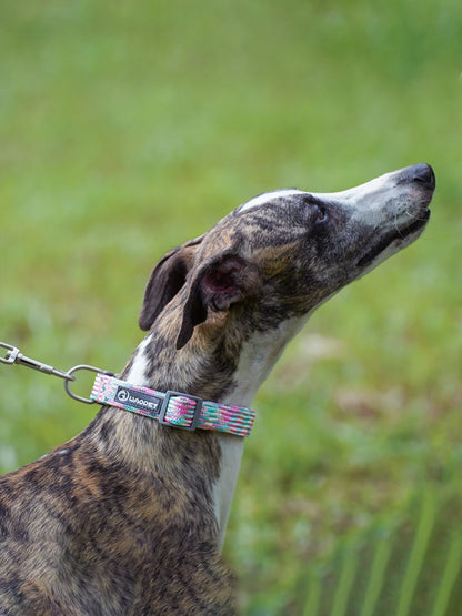 Nylon Dog Collar Adjustable Reflective Pet Collars with Metal Buckle and Quick Release Buckle Large and Medium Dog Pet Collars