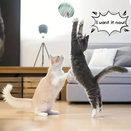 1/2/3pcs Cat Toy Balls Stretchable Kitten Springs Toys Interactive Caged Rats Rolling Cat Balls Random Color Cat Accessories