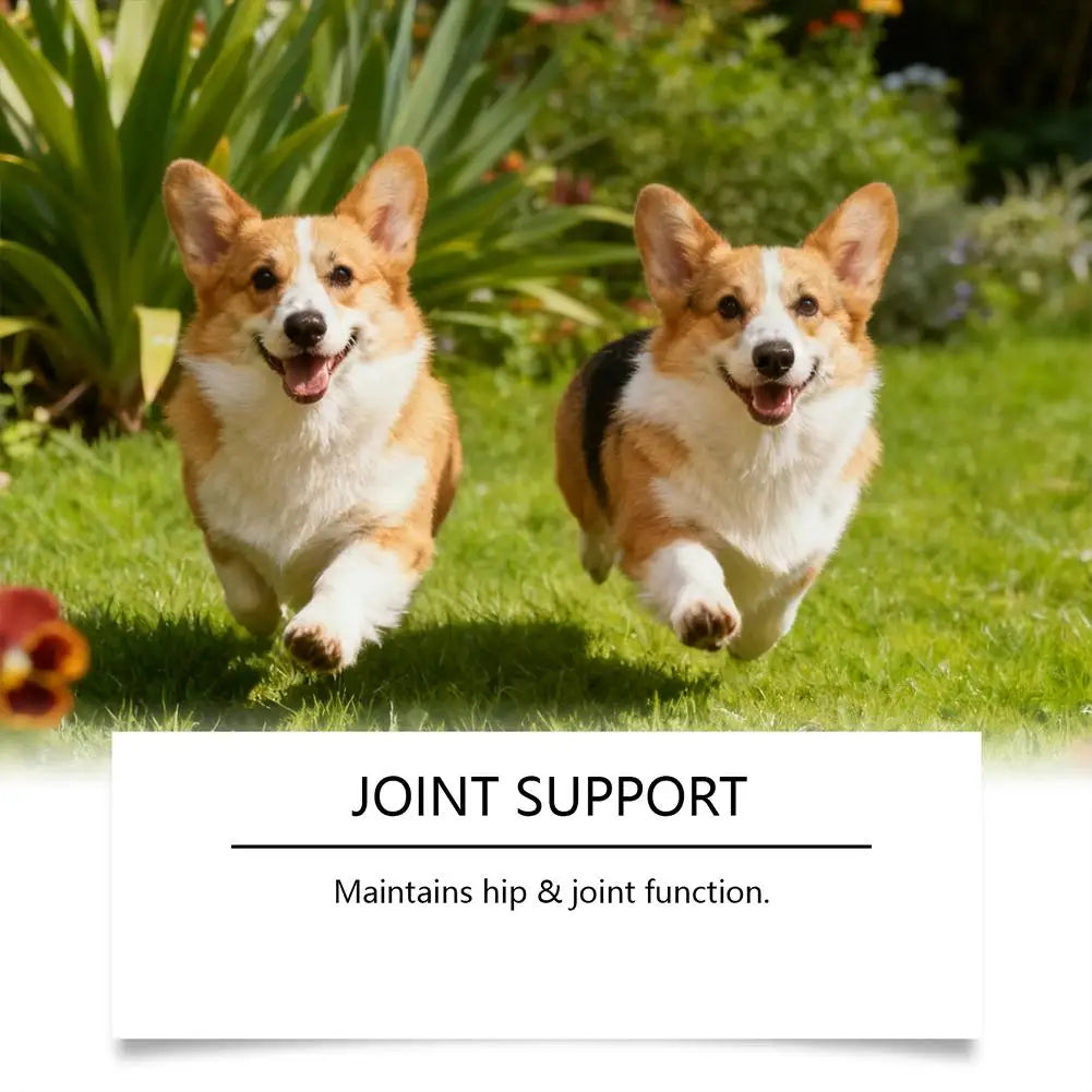 Dog Collagen Absorbable Drops Pet Cleaning & Nutritional Care - Skin Hair Intestinal Joint Health Support Daily Pet Supplement