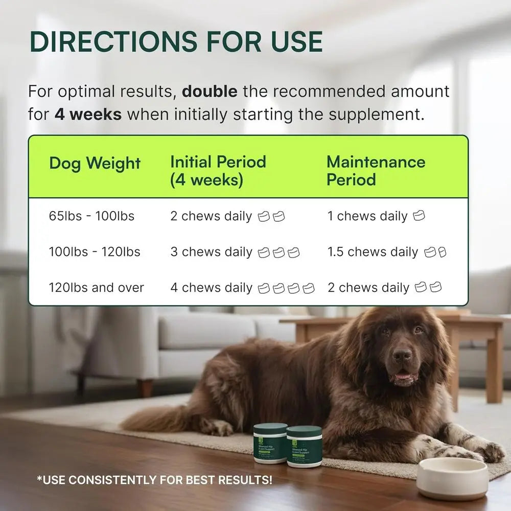 Chewable Dog Hip & Joint Supplement - Glucosamine & Chondroitin Chews - Dog Joint Supplements & Vitamins - Extended Joint Care (