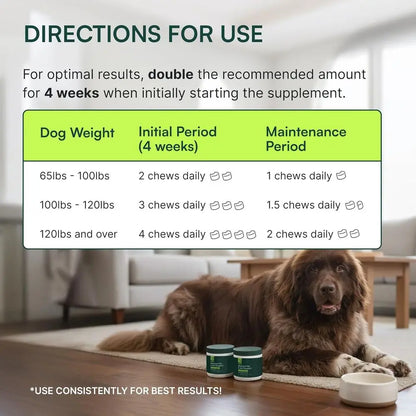 Chewable Dog Hip & Joint Supplement - Glucosamine & Chondroitin Chews - Dog Joint Supplements & Vitamins - Extended Joint Care (