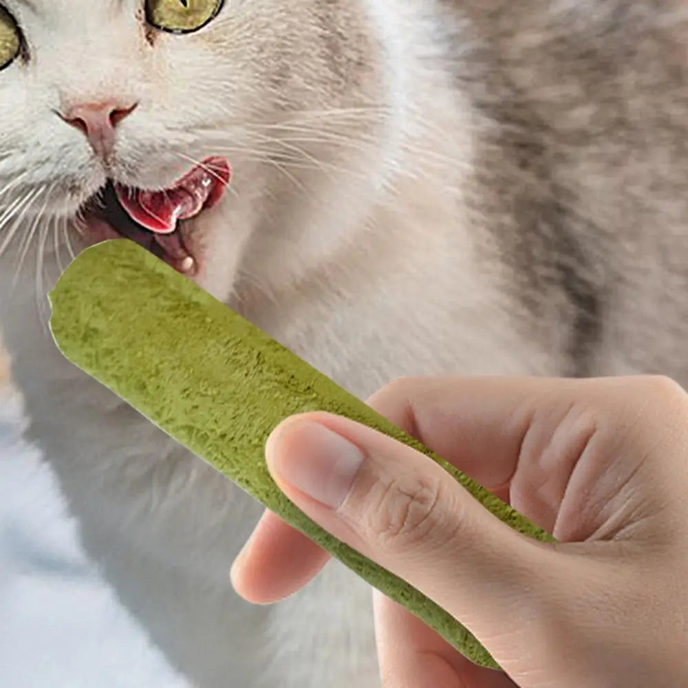 Cat Grass Sticks Grass Chewing Stick Freeze Dried Snacks Mouth Health Teething Digestive Aid Natural Teeth Cleaner Fattening Pet
