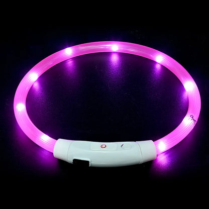 Led Usb Dog Collar Pet Dog Night Luminous Charge Collar Led Night Safety Flashing Glow Dog Loss Prevention Collar Pet Accessorie