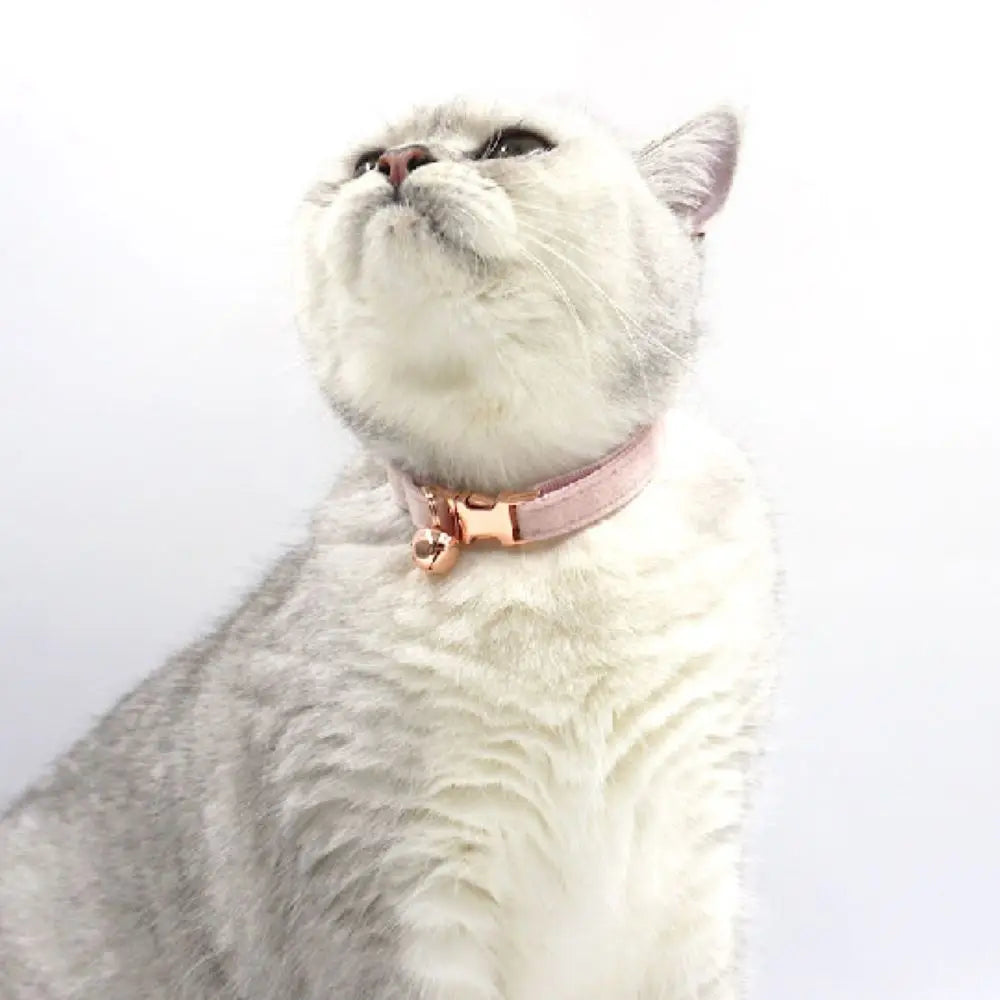 Custom Cat Collars With Personalized Text Free Laser Engraving Suitable For Kittens Puppies Pet Accessories And Anti-Lost Collar