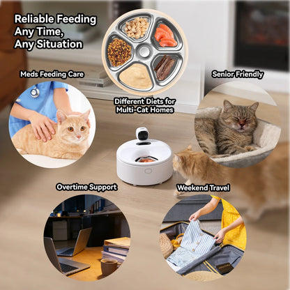 Wholesale 5 Meals Automatic Cat Feeder Wet Food with Refrigerate Warm Schedule Voice & Monitor Functions for Multi-Pet Homes