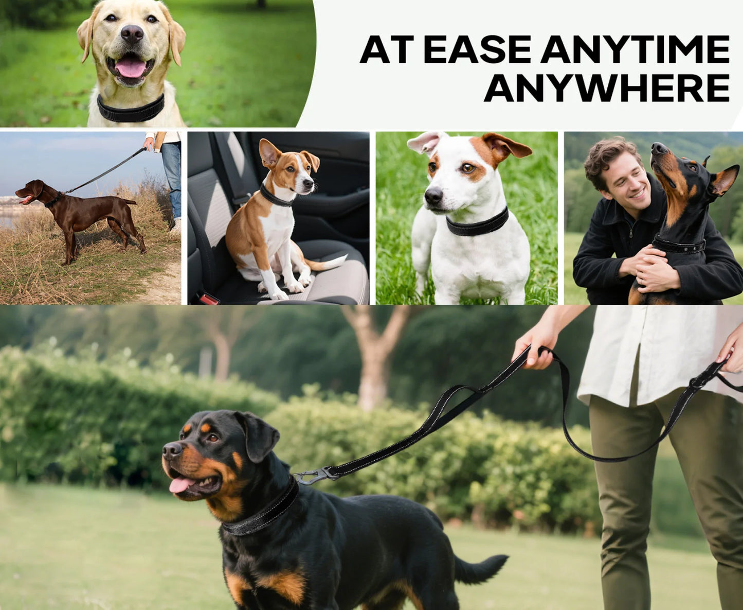 Reflective Striped Dog Collar, Escape-Proof Nylon, Quick-Release Buckle, Soft Padded, for Small Cat, Medium and Large Dogs