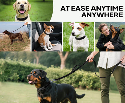 Reflective Striped Dog Collar, Escape-Proof Nylon, Quick-Release Buckle, Soft Padded, for Small Cat, Medium and Large Dogs