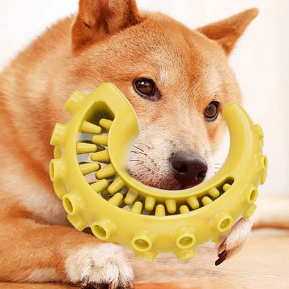 Tpr Pet Dog Toys For Small Medium Dogs Bite Resistant Dog Chew Toys Dog Teeth Cleaning Toys Pet Supplies