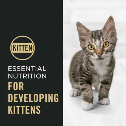 Kitten Food Complete Essentials Cat Kibble Shredded Blend Chicken and Rice Formula