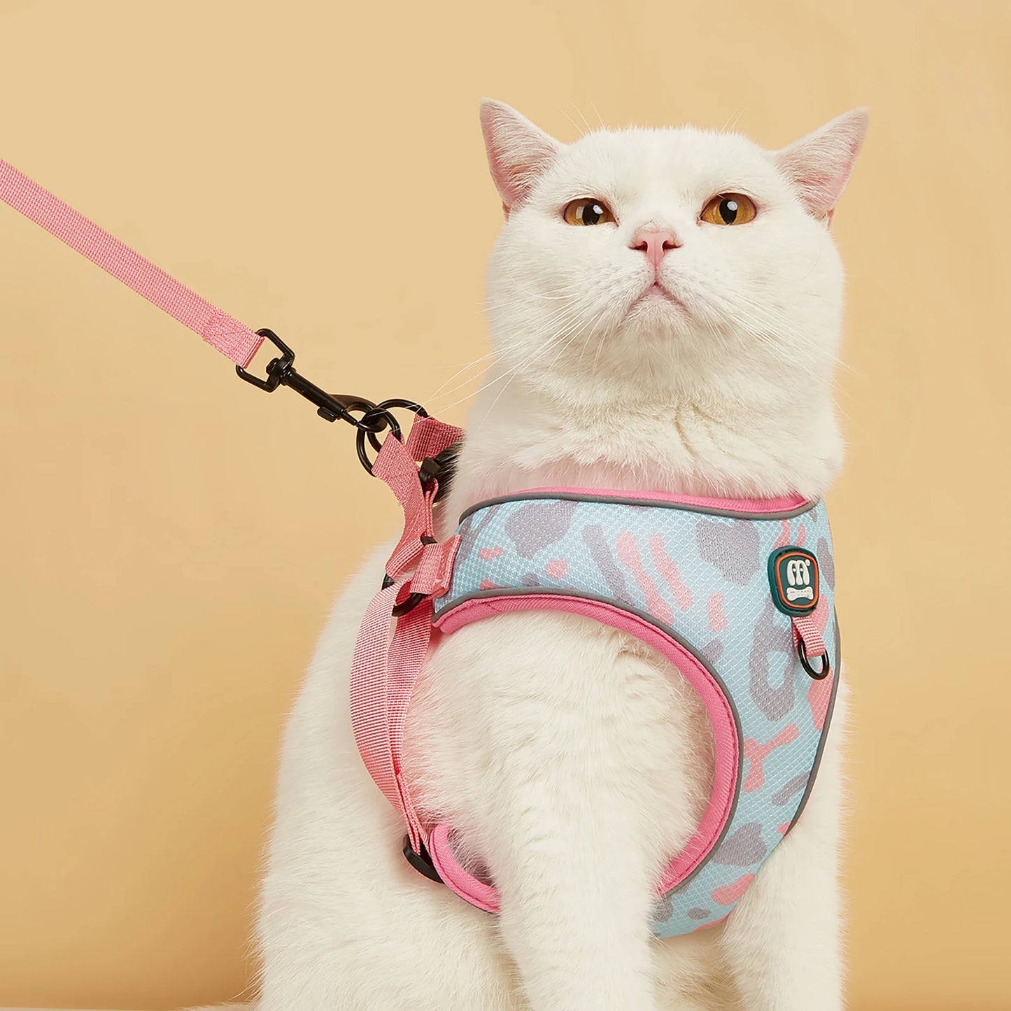New Arrives Adjustable Soft Mesh With Fashionable Design Pet Harness And Leash Set