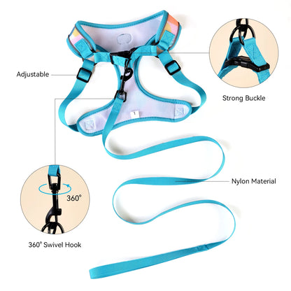 New Arrives Adjustable Soft Mesh With Fashionable Design Pet Harness And Leash Set