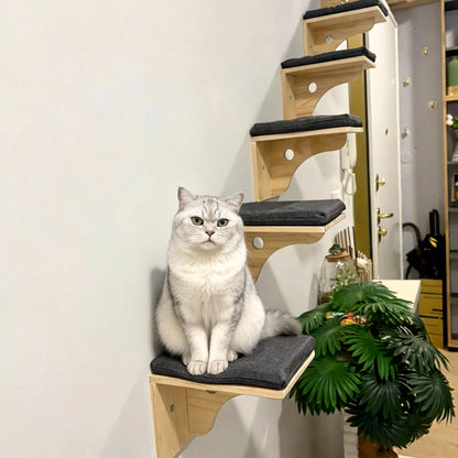 Wall-Mounted Cat Stairs Cat Scratching Posts Hammock Moon House Indoor Cat Gym Cats Furniture for Kittens Climbing and Sleeping