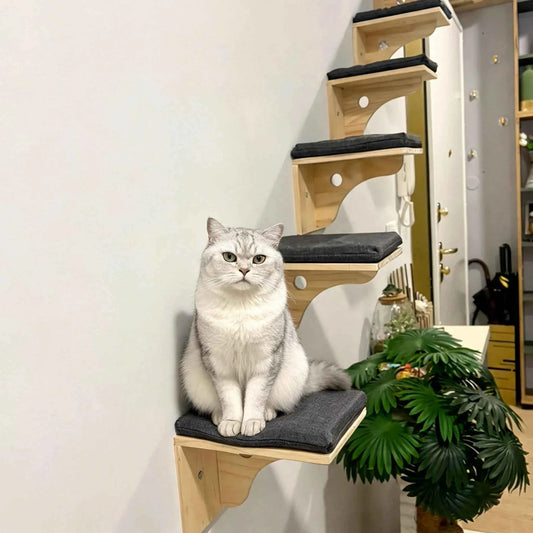 Wall-Mounted Cat Stairs Cat Scratching Posts Hammock Moon House Indoor Cat Gym Cats Furniture for Kittens Climbing and Sleeping