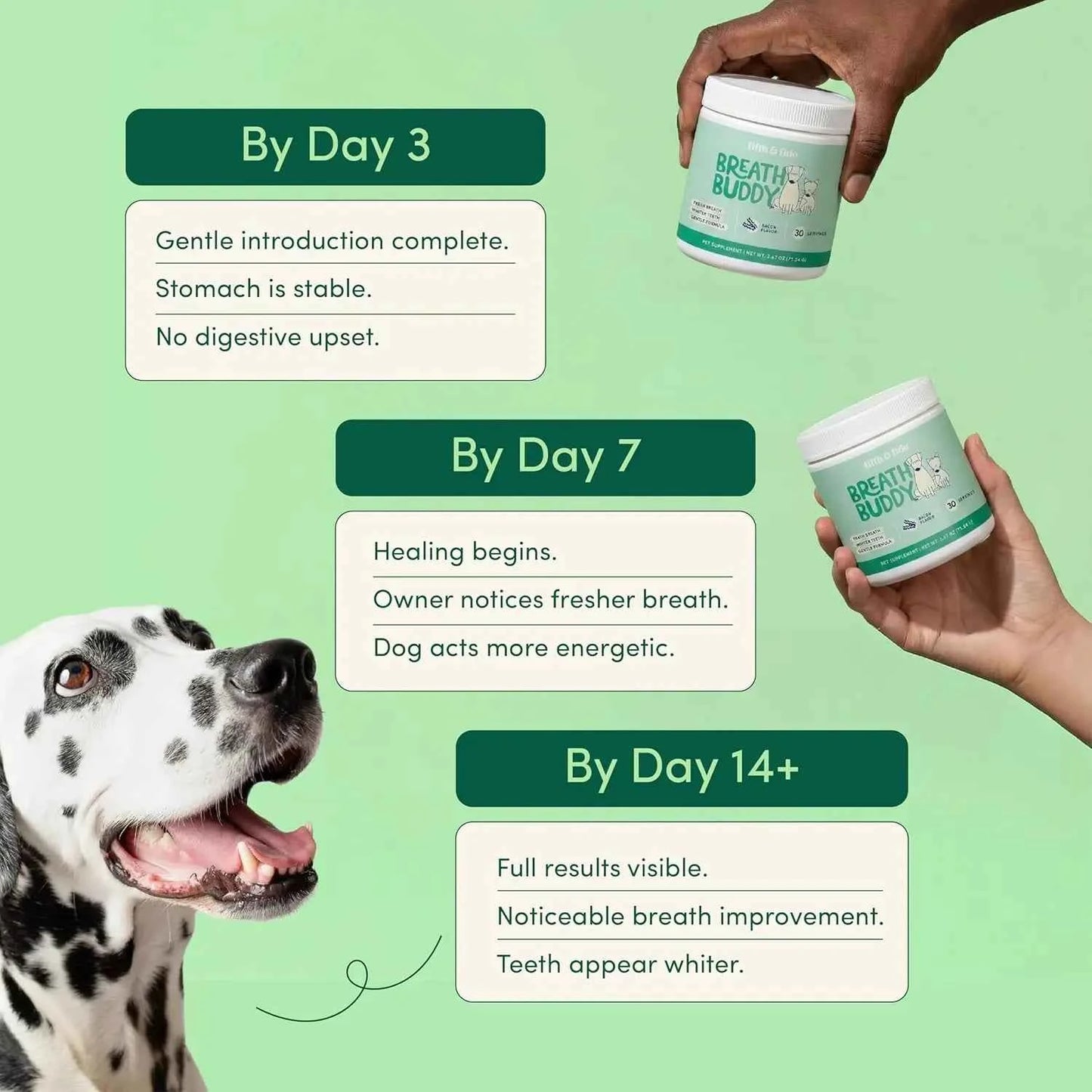 Dog Pet Tooth Cleaning Powder Dog Teeth Cleaner Dental Powder Cat Breath Freshener for Remove Plaque Tartar Natural Ingredients