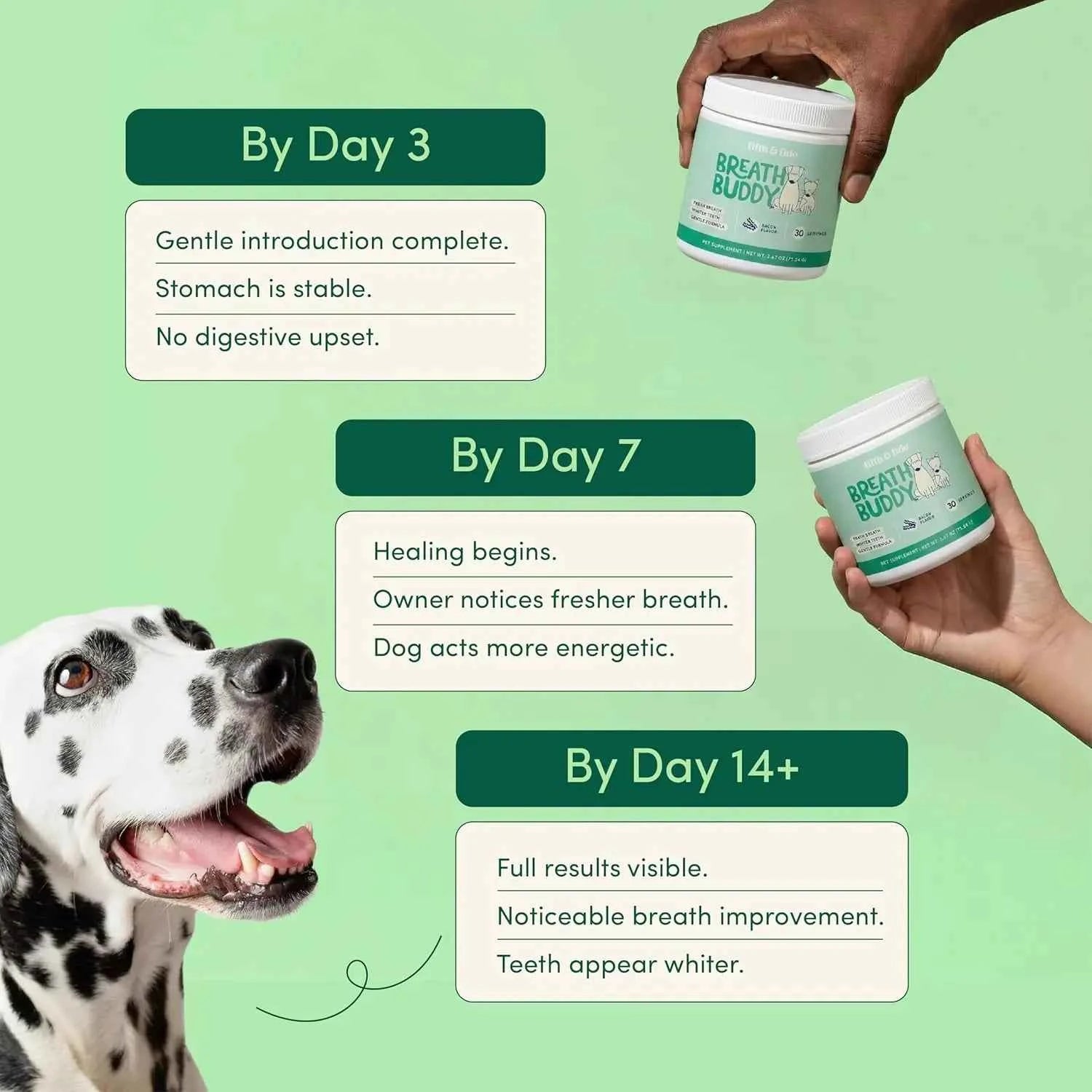 Dog Pet Tooth Cleaning Powder Dog Teeth Cleaner Dental Powder Cat Breath Freshener for Remove Plaque Tartar Natural Ingredients