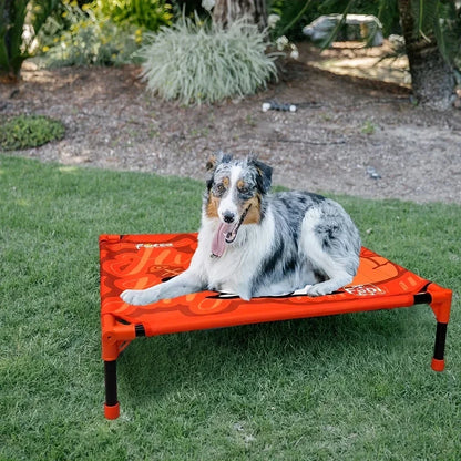 Winter Outdoor Elevated Dog Bed, Large, Medium, Small Pet Dog Bed, Portable Dog Bed for Camping or Beach Breathable Mesh Mesh