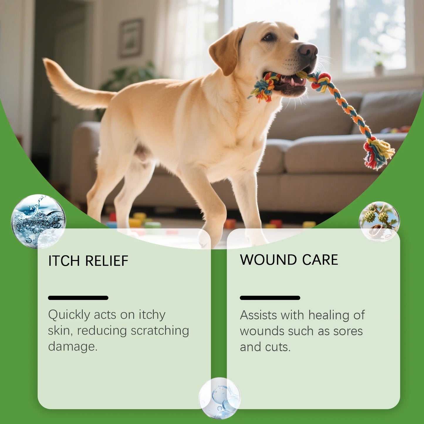 Yegbong Dog Skin Spray – Thoughtful protection, gentle and fast-acting care for skin discomfort, clean and comfortable spray
