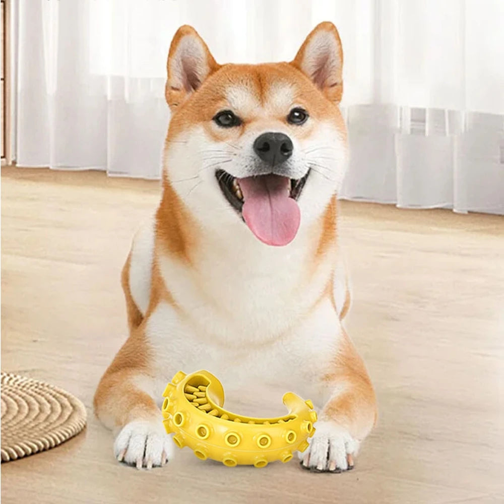 Tpr Pet Dog Toys For Small Medium Dogs Bite Resistant Dog Chew Toys Dog Teeth Cleaning Toys Pet Supplies