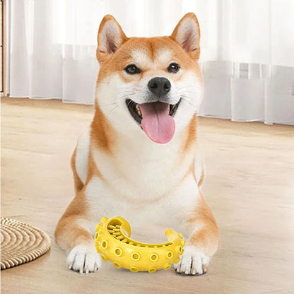 Tpr Pet Dog Toys For Small Medium Dogs Bite Resistant Dog Chew Toys Dog Teeth Cleaning Toys Pet Supplies