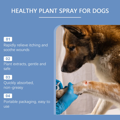 YEGBONG 100ML Dog Care Spray Gentle Cleaning Plant Extracts Skin Nourishing Vet Recommended Multi Purpose for All Breed All Life