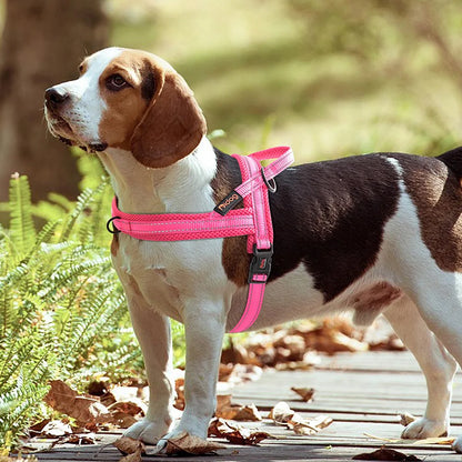 Warm Dog Harness Vest Winter Dog Harnesses Soft Padded Pet Training Harnesses Vests Adjustable For Small Large Dogs Bulldog Pug