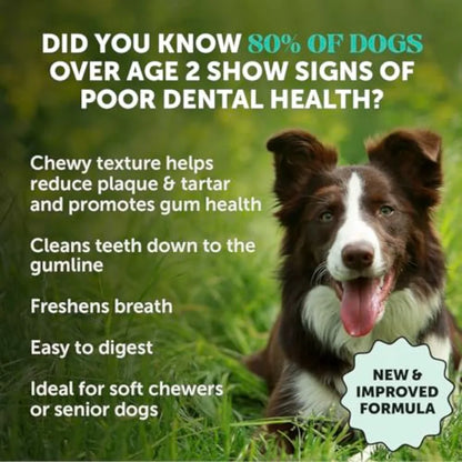Dog Dental Care Virtual Bundle Mint Dental Powder 60 Servings + Fresh Sticks Oral Hygiene Chews 16 ct