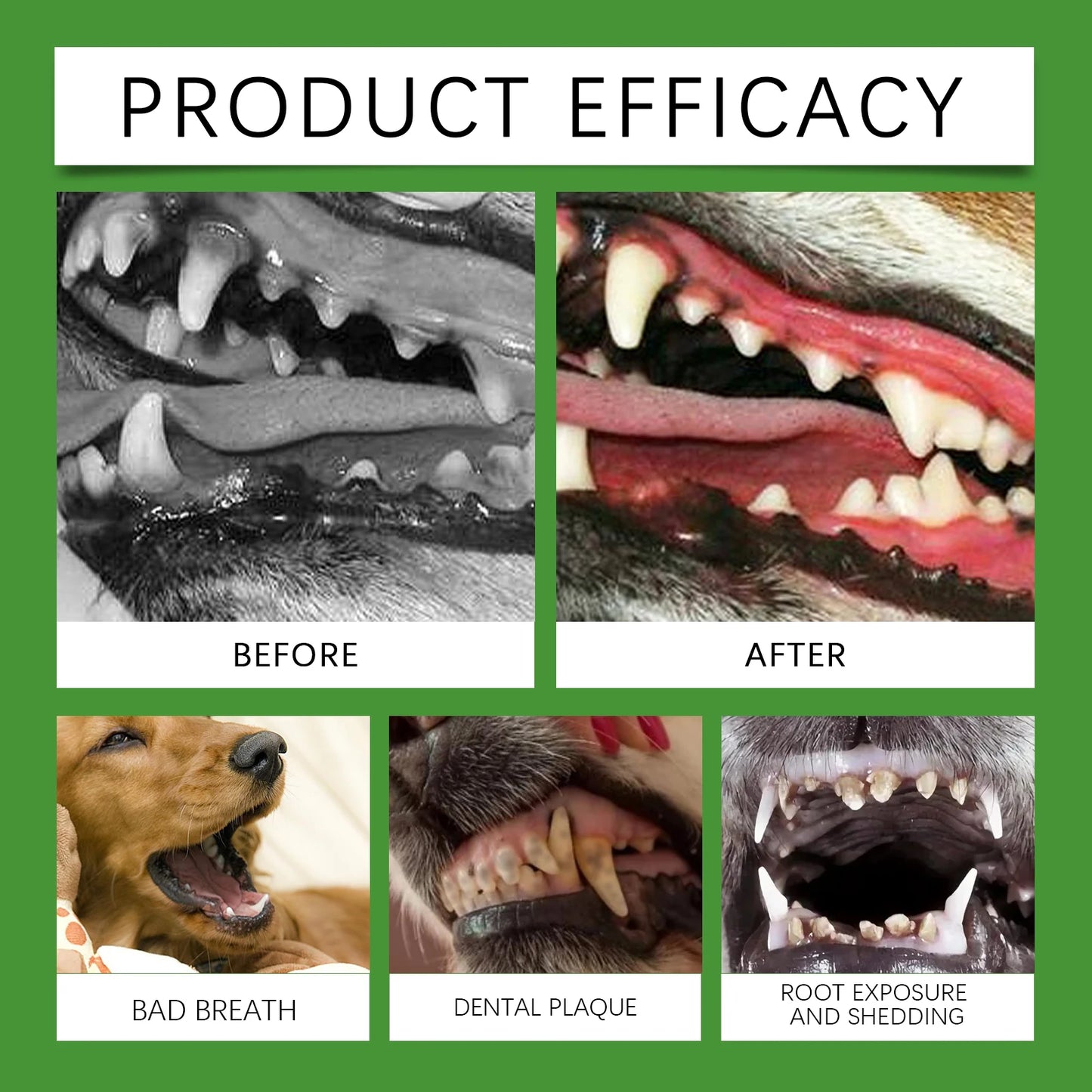 Dog tooth cleaning powder gently cleanses pet teeth, improves tartar, teeth yellowing, freshens breath, natural ingredients