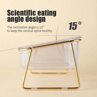 Transparent Elevated Dual Cat Bowl, 2-in-1 Raised Feeder for Food & Water, Tilted Design for Easy Eating, Ideal for Cat Health