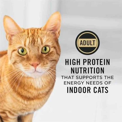 Adult Indoor Chicken and Rice Formula High Protein Cat Food - 16 lb. Bag