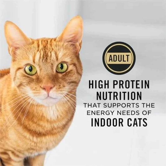 Adult Indoor Chicken and Rice Formula High Protein Cat Food - 16 lb. Bag