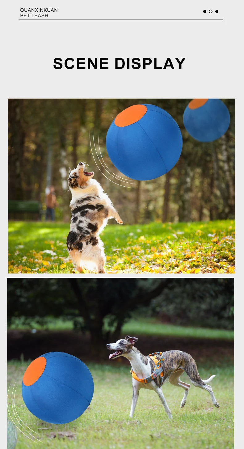 Outdoor Dog Toy Inflatable Big Ball Interactive Games Balls Pet Golden Relieve Fretful Boredom Country Dog Corgi Training Ball