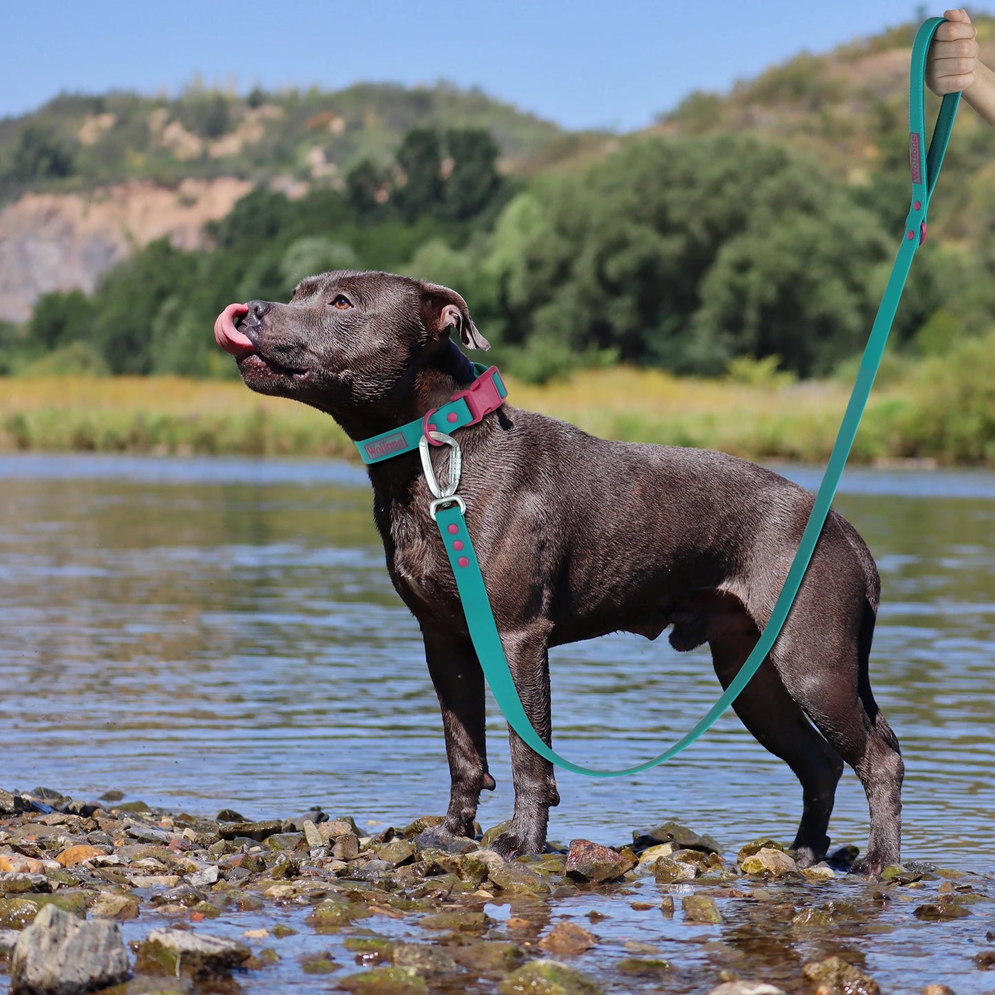 Dog Poop Bag Holder Leash Generation Medium Adjustable Two Piece Dog Lleash Walking Bags Lead Lea