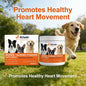 Dogs Taurine Powder Support Heart Health Boosts Vital Energy Levels Maintain Healthy Joint Movement Daily Nutrition Supplements