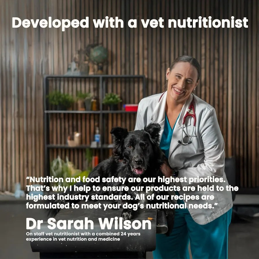Air Dried Grain Free Dog Food for Dogs Large Medium and Small Puppy Dog Food Adult Dog Food Senior Dog Food Beef and Berries 4.