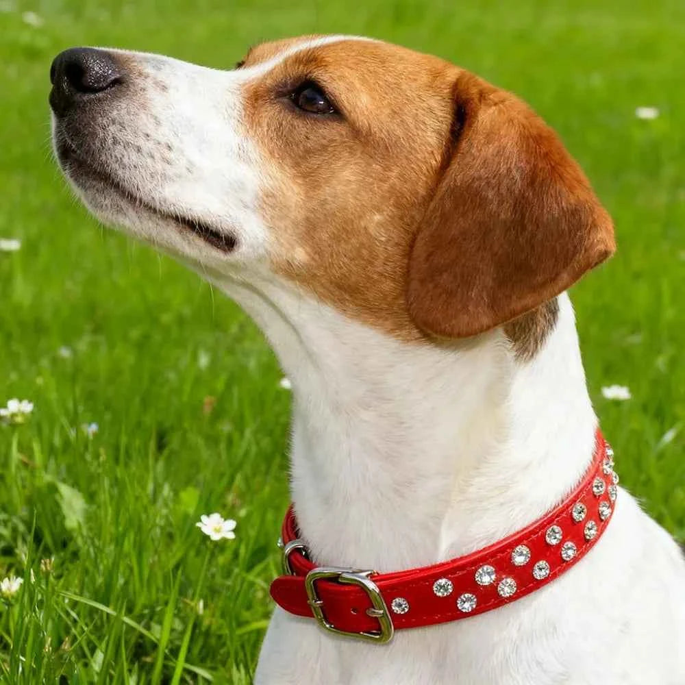 Cute Two Rows Rhinestone Dog Collar Heart Bling Puppy Collar Fancy Crystal Glitter Pretty Jewel Diamond Girl Dog Collars For Small Medium Pet Female Dogs Cats