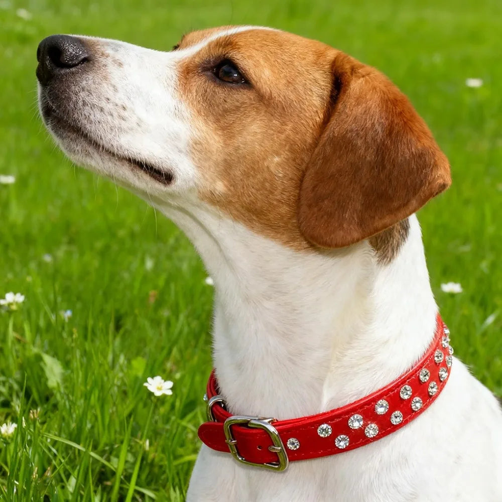 Cute Two Rows Rhinestone Dog Collar Heart Bling Puppy Collar Fancy Crystal Glitter Pretty Jewel Diamond Girl Dog Collars For Small Medium Pet Female Dogs Cats