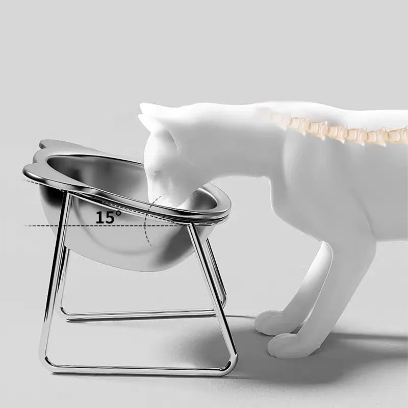 Elevated Cat Bowls for Small Dogs 5.9" Indoor Stainless Steel Raised Cat Bowl for Food Water 15° Titled Anti-Vomiting Dog Dishes