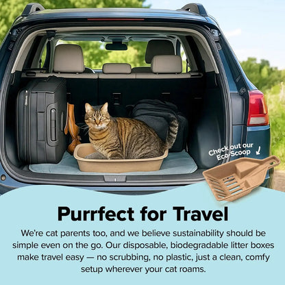 2-Pack Disposable Heavy Duty 6mm Thick Cat Litter Box - Sustainable, Clean, & Water Resistant - Jumbo, 2-Pack