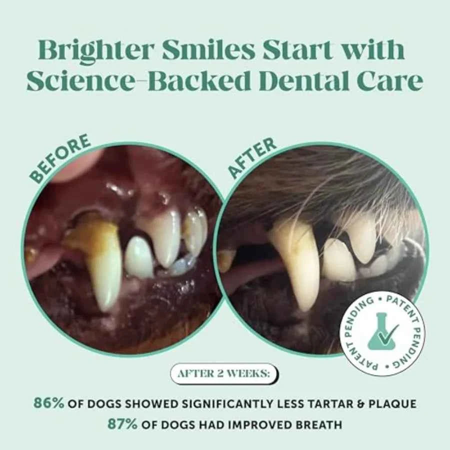 Dog Dental Care Virtual Bundle Mint Dental Powder 60 Servings + Fresh Sticks Oral Hygiene Chews 16 ct