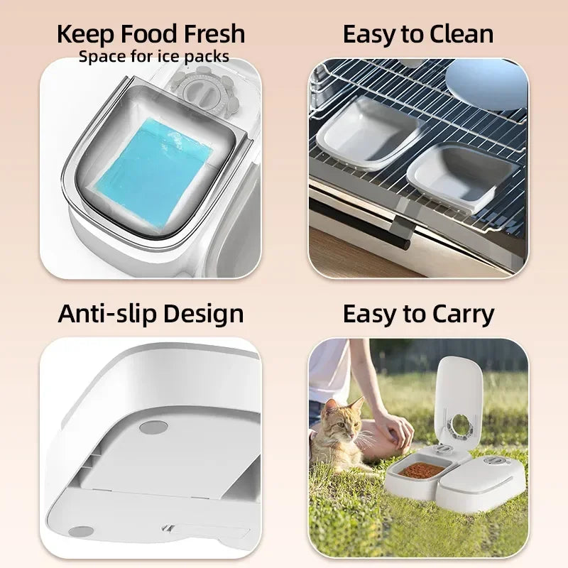 2 Meals Timed Automatic Dog Feeder Dual Bowls Smart Cat Food Dispenser Wet Dry Pet Food Dispenser Pet Feeder Cat Accessories