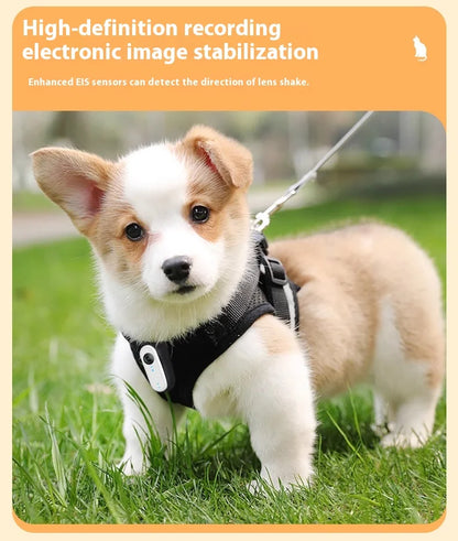 Waterproof Mini Body Camera for Dogs Cats, Outdoor Adventures Pet Camera Cam Smart Collar HD 1080P WiFi App with Video Recording