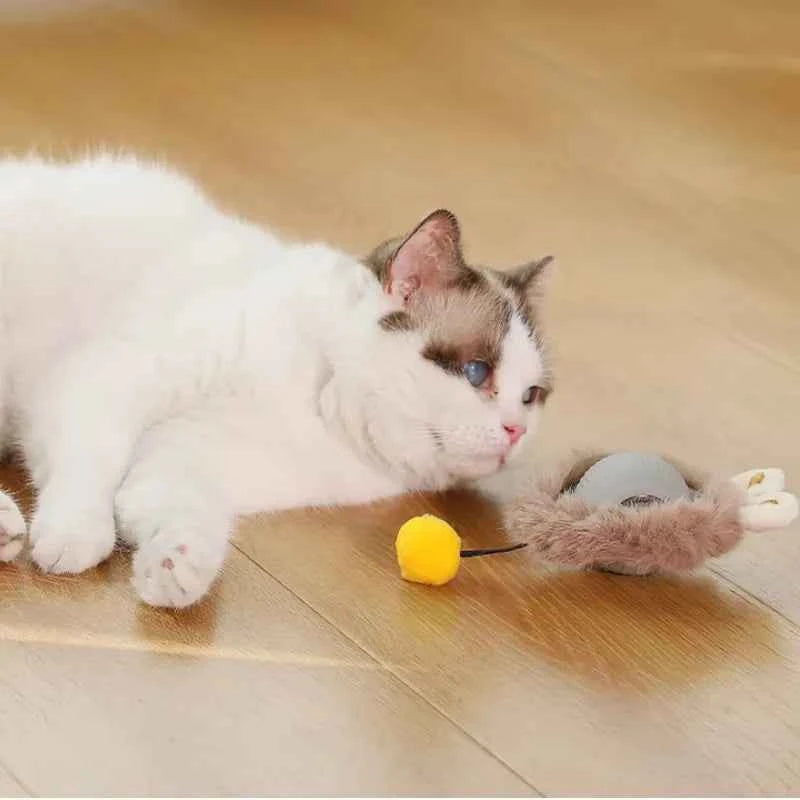 Cat Toy Intelligent Electric Automatic Rolling USB Rechargeable with Rope Sound Making Toy Ball Home Pet Soothing Supplies