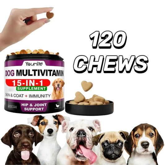 【15in1】Multivitamin for dogs  - Improve hair loss, digestion and immune support - Dog paw yeast treatment