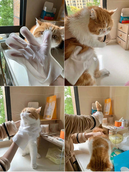Disposable Waterless Pet Cleaning Gloves – 2-in-1 Massage & Grooming Mitts Pet Wash Free Pet Wipes