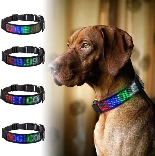 Collar Programmable LED Dog Collar Flashing Light Up Rechargeable Pet Dog Safety Collar Glow in The Dark Light-up Neck Loop