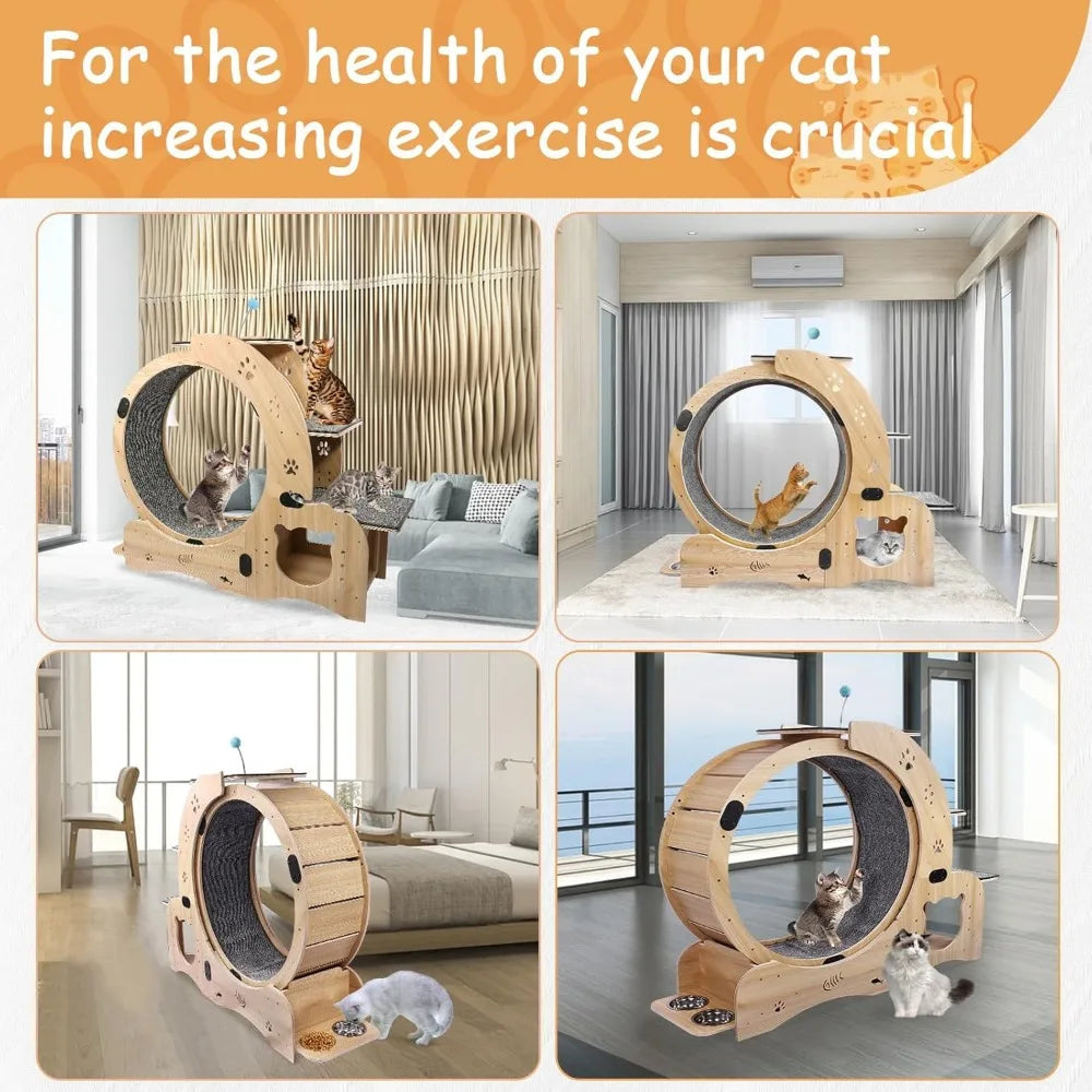6-in-1 Cat Exerciser Wheel with Pet Bed,Scratching Board, Detachable Mat,Climbing Frame, Nest Toys,51 inch Cat Wheel Indoor